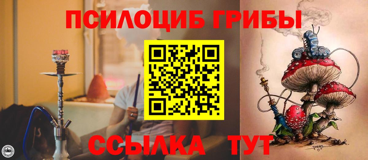 Псилоцибиновые грибы мицелий Знаменск
