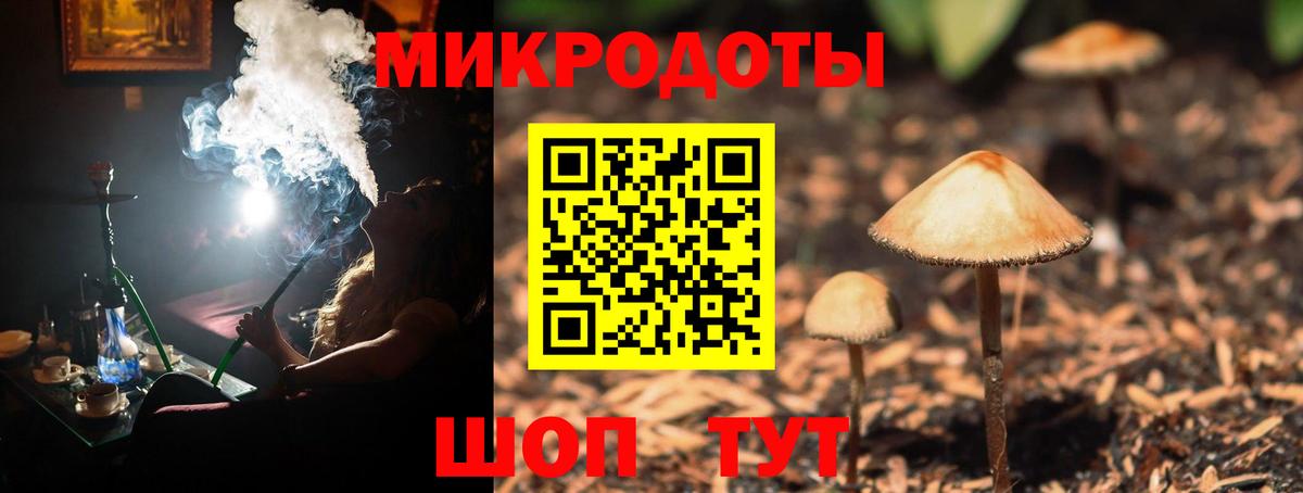 Знаменск  Псилоцибиновые грибы Cubensis  Вход с VPN 